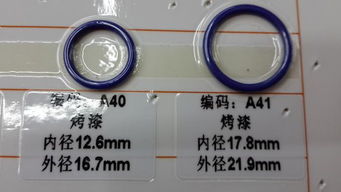 服裝輔料 從塑料調(diào)節(jié)扣到環(huán)保內(nèi)衣扣，微小部件的無限可能